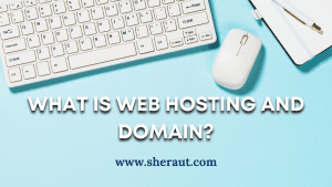 All in one Consultancy 31 sheraut-photo